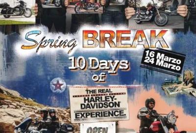 Harley-Davidson Spring Break 2013